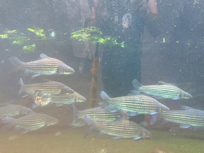 台北景點、木柵景點、台北親子遊、台北市立動物園介紹、臺北市立動物園、台北市立動物園、木柵動物園門票、木柵動物園、台北市立動物園攻略、台北親子景點、2024台北情侶約會