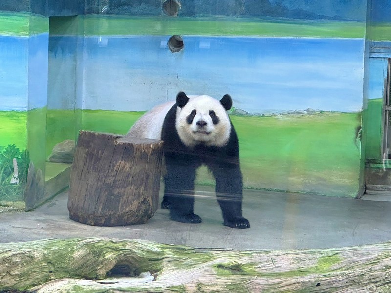 台北景點、木柵景點、台北親子遊、台北市立動物園介紹、臺北市立動物園、台北市立動物園、木柵動物園門票、木柵動物園、台北市立動物園攻略、台北親子景點、2024台北情侶約會