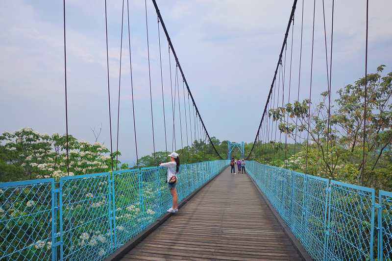 延伸閱讀：苗栗銅鑼「九華山天空步道」天空之橋，最迷人的自行車道賞桐去