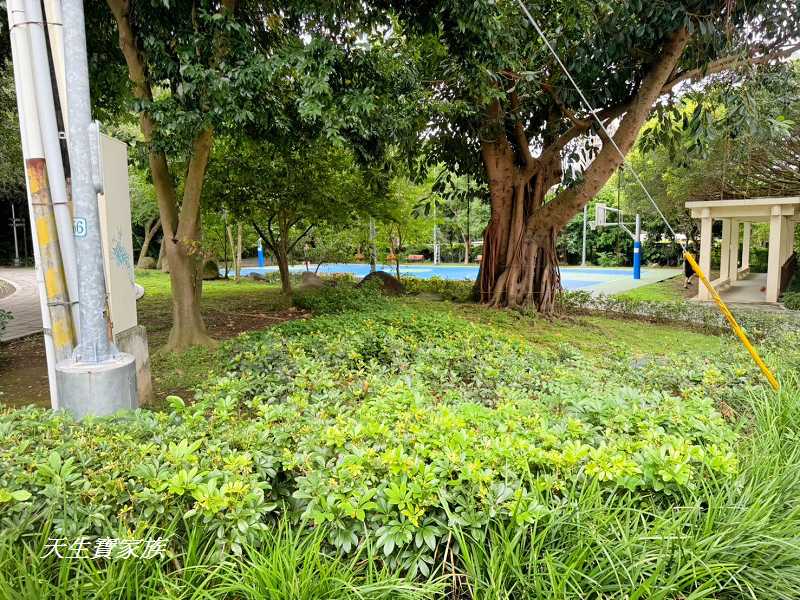 台北士林【天母公園】跑酷運動場海芋造型溜滑梯好放電！還有步道小溪 @天生寶家族