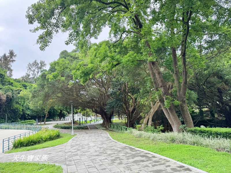 台北士林【天母公園】跑酷運動場海芋造型溜滑梯好放電！還有步道小溪 @天生寶家族