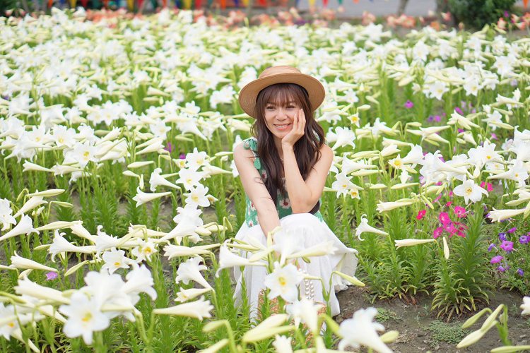 雲林中湖百合花園四湖長春園藝孤挺花園