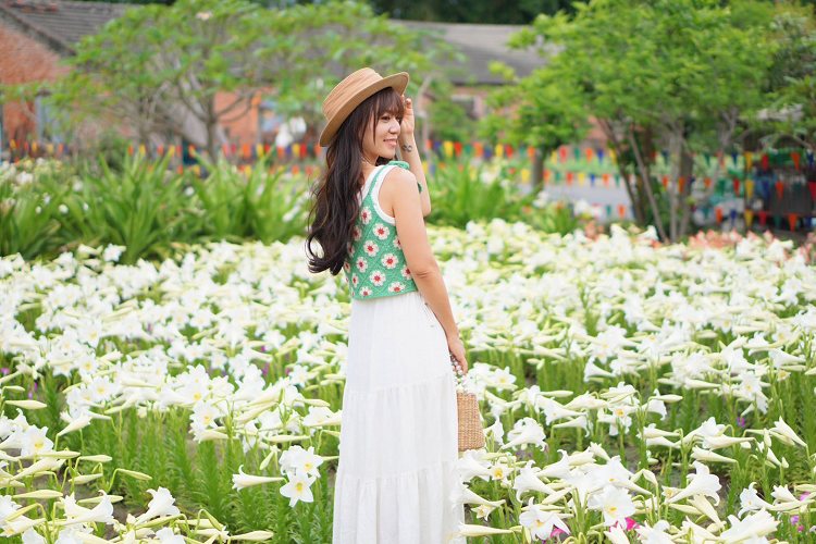 網站近期文章：雲林四湖》賞花新秘境超驚喜！中湖季節限定百合花海