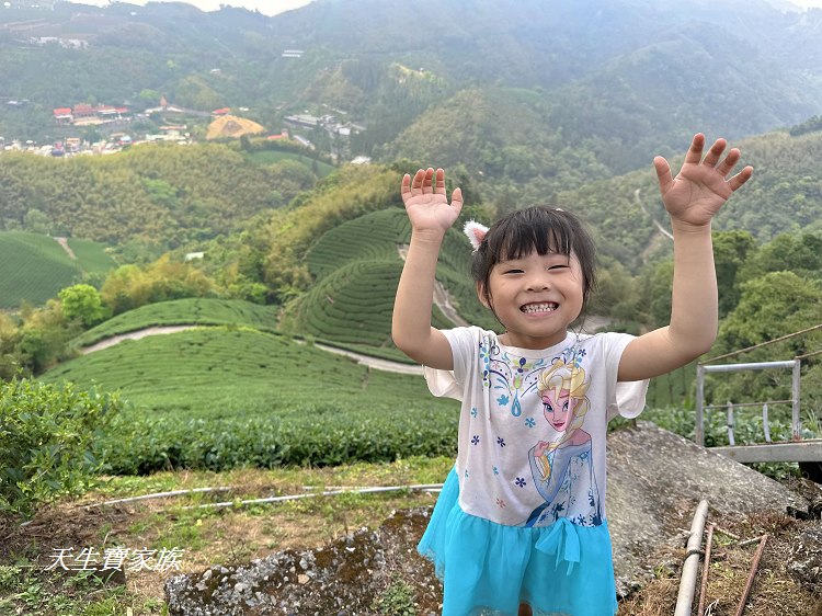 嘉義梅山大巃頂步道,大巃頂觀光茶園,大龍頂