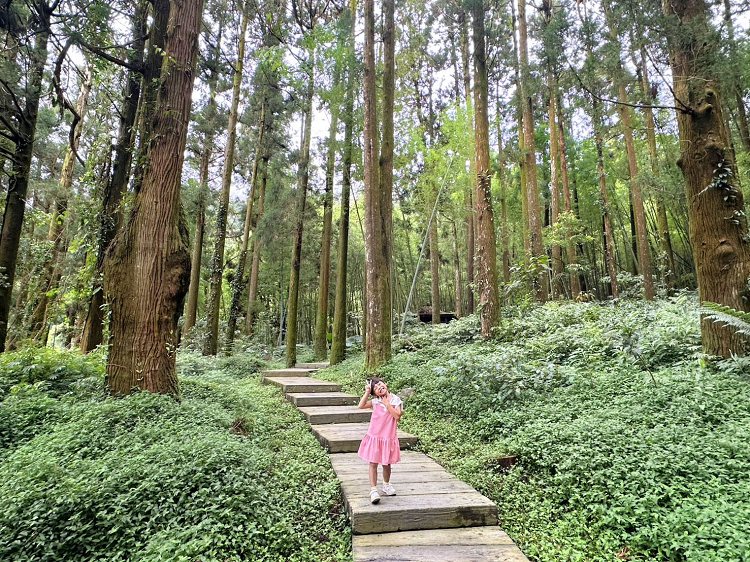 嘉義景點,大凍山步道路線圖,奮起步道,奮起步道地圖,奮起步道怎麼去,奮起步道探險,奮起步道美景,奮起步道行程攻略,奮起湖,奮起湖一日遊,奮起湖便當,奮起湖南側步道,奮起湖巨木,奮起湖景點,奮起湖杉林步道,奮起湖步道,奮起湖步道入口,奮起湖步道圖,奮起湖步道地圖,奮起湖步道推薦,奮起湖步道整修,奮起湖步道系統,奮起湖步道要走多久,奮起湖步道難度,奮起湖火車,奮起湖神社,奮起湖老街,糕仔崁古道,鹿鼎神木,鹿鼎老樹