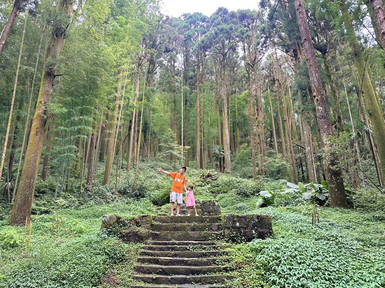 嘉義景點,大凍山步道路線圖,奮起步道,奮起步道地圖,奮起步道怎麼去,奮起步道探險,奮起步道美景,奮起步道行程攻略,奮起湖,奮起湖一日遊,奮起湖便當,奮起湖南側步道,奮起湖巨木,奮起湖景點,奮起湖杉林步道,奮起湖步道,奮起湖步道入口,奮起湖步道圖,奮起湖步道地圖,奮起湖步道推薦,奮起湖步道整修,奮起湖步道系統,奮起湖步道要走多久,奮起湖步道難度,奮起湖火車,奮起湖神社,奮起湖老街,糕仔崁古道,鹿鼎神木,鹿鼎老樹
