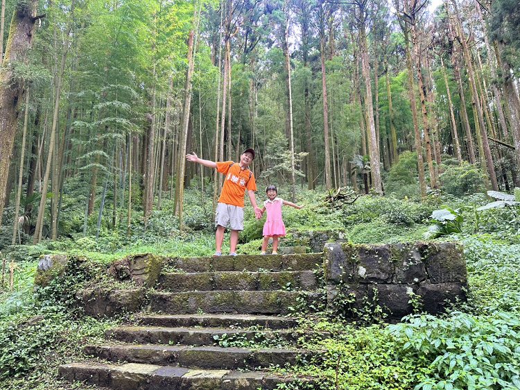 嘉義景點,大凍山步道路線圖,奮起步道,奮起步道地圖,奮起步道怎麼去,奮起步道探險,奮起步道美景,奮起步道行程攻略,奮起湖,奮起湖一日遊,奮起湖便當,奮起湖南側步道,奮起湖巨木,奮起湖景點,奮起湖杉林步道,奮起湖步道,奮起湖步道入口,奮起湖步道圖,奮起湖步道地圖,奮起湖步道推薦,奮起湖步道整修,奮起湖步道系統,奮起湖步道要走多久,奮起湖步道難度,奮起湖火車,奮起湖神社,奮起湖老街,糕仔崁古道,鹿鼎神木,鹿鼎老樹