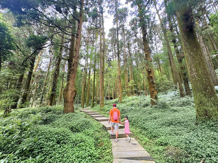 嘉義景點,大凍山步道路線圖,奮起步道,奮起步道地圖,奮起步道怎麼去,奮起步道探險,奮起步道美景,奮起步道行程攻略,奮起湖,奮起湖一日遊,奮起湖便當,奮起湖南側步道,奮起湖巨木,奮起湖景點,奮起湖杉林步道,奮起湖步道,奮起湖步道入口,奮起湖步道圖,奮起湖步道地圖,奮起湖步道推薦,奮起湖步道整修,奮起湖步道系統,奮起湖步道要走多久,奮起湖步道難度,奮起湖火車,奮起湖神社,奮起湖老街,糕仔崁古道,鹿鼎神木,鹿鼎老樹