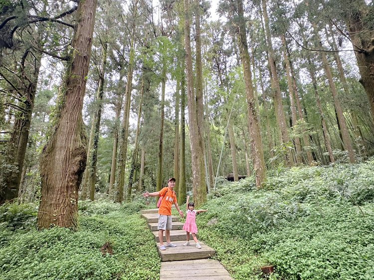 嘉義景點,大凍山步道路線圖,奮起步道,奮起步道地圖,奮起步道怎麼去,奮起步道探險,奮起步道美景,奮起步道行程攻略,奮起湖,奮起湖一日遊,奮起湖便當,奮起湖南側步道,奮起湖巨木,奮起湖景點,奮起湖杉林步道,奮起湖步道,奮起湖步道入口,奮起湖步道圖,奮起湖步道地圖,奮起湖步道推薦,奮起湖步道整修,奮起湖步道系統,奮起湖步道要走多久,奮起湖步道難度,奮起湖火車,奮起湖神社,奮起湖老街,糕仔崁古道,鹿鼎神木,鹿鼎老樹 @天生寶家族