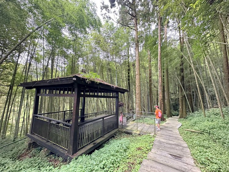 嘉義景點,大凍山步道路線圖,奮起步道,奮起步道地圖,奮起步道怎麼去,奮起步道探險,奮起步道美景,奮起步道行程攻略,奮起湖,奮起湖一日遊,奮起湖便當,奮起湖南側步道,奮起湖巨木,奮起湖景點,奮起湖杉林步道,奮起湖步道,奮起湖步道入口,奮起湖步道圖,奮起湖步道地圖,奮起湖步道推薦,奮起湖步道整修,奮起湖步道系統,奮起湖步道要走多久,奮起湖步道難度,奮起湖火車,奮起湖神社,奮起湖老街,糕仔崁古道,鹿鼎神木,鹿鼎老樹