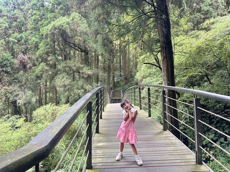 嘉義景點,大凍山步道路線圖,奮起步道,奮起步道地圖,奮起步道怎麼去,奮起步道探險,奮起步道美景,奮起步道行程攻略,奮起湖,奮起湖一日遊,奮起湖便當,奮起湖南側步道,奮起湖巨木,奮起湖景點,奮起湖杉林步道,奮起湖步道,奮起湖步道入口,奮起湖步道圖,奮起湖步道地圖,奮起湖步道推薦,奮起湖步道整修,奮起湖步道系統,奮起湖步道要走多久,奮起湖步道難度,奮起湖火車,奮起湖神社,奮起湖老街,糕仔崁古道,鹿鼎神木,鹿鼎老樹