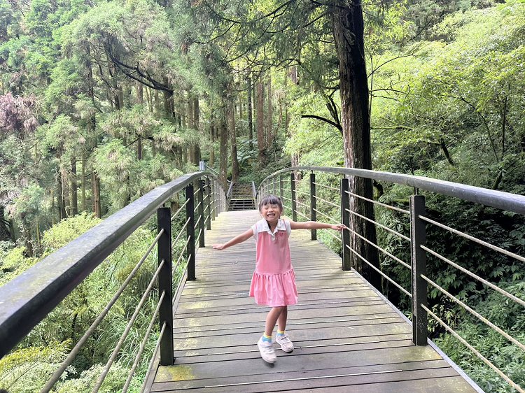 嘉義景點,大凍山步道路線圖,奮起步道,奮起步道地圖,奮起步道怎麼去,奮起步道探險,奮起步道美景,奮起步道行程攻略,奮起湖,奮起湖一日遊,奮起湖便當,奮起湖南側步道,奮起湖巨木,奮起湖景點,奮起湖杉林步道,奮起湖步道,奮起湖步道入口,奮起湖步道圖,奮起湖步道地圖,奮起湖步道推薦,奮起湖步道整修,奮起湖步道系統,奮起湖步道要走多久,奮起湖步道難度,奮起湖火車,奮起湖神社,奮起湖老街,糕仔崁古道,鹿鼎神木,鹿鼎老樹