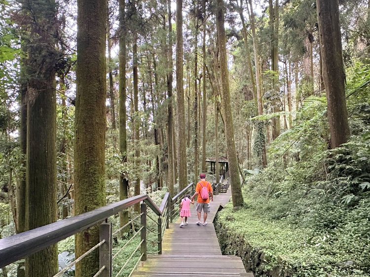 嘉義景點,大凍山步道路線圖,奮起步道,奮起步道地圖,奮起步道怎麼去,奮起步道探險,奮起步道美景,奮起步道行程攻略,奮起湖,奮起湖一日遊,奮起湖便當,奮起湖南側步道,奮起湖巨木,奮起湖景點,奮起湖杉林步道,奮起湖步道,奮起湖步道入口,奮起湖步道圖,奮起湖步道地圖,奮起湖步道推薦,奮起湖步道整修,奮起湖步道系統,奮起湖步道要走多久,奮起湖步道難度,奮起湖火車,奮起湖神社,奮起湖老街,糕仔崁古道,鹿鼎神木,鹿鼎老樹