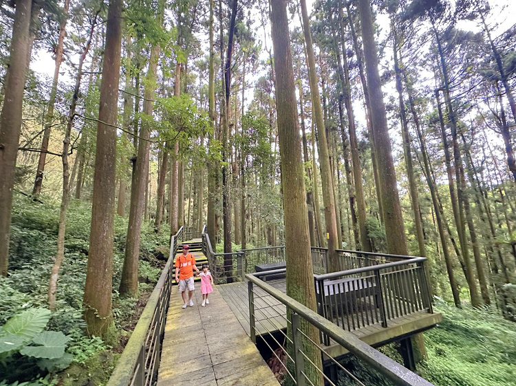嘉義景點,大凍山步道路線圖,奮起步道,奮起步道地圖,奮起步道怎麼去,奮起步道探險,奮起步道美景,奮起步道行程攻略,奮起湖,奮起湖一日遊,奮起湖便當,奮起湖南側步道,奮起湖巨木,奮起湖景點,奮起湖杉林步道,奮起湖步道,奮起湖步道入口,奮起湖步道圖,奮起湖步道地圖,奮起湖步道推薦,奮起湖步道整修,奮起湖步道系統,奮起湖步道要走多久,奮起湖步道難度,奮起湖火車,奮起湖神社,奮起湖老街,糕仔崁古道,鹿鼎神木,鹿鼎老樹