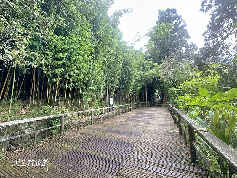 嘉義一日遊、奮起湖、奮起湖一日遊、奮起湖觀景台、奮起湖火車、奮起湖便當、奮起湖一日遊、奮起湖住宿、奮起湖景點