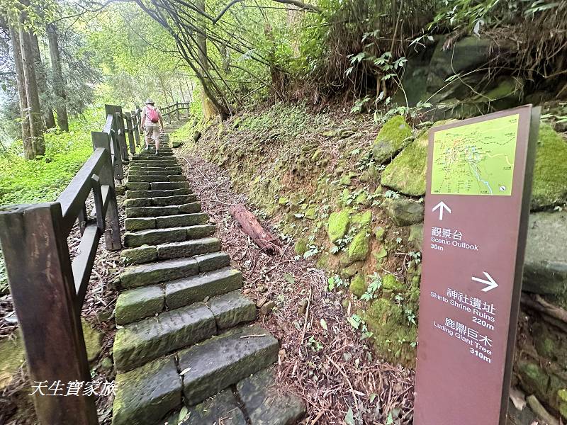 嘉義一日遊、奮起湖、奮起湖一日遊、奮起湖觀景台、奮起湖火車、奮起湖便當、奮起湖一日遊、奮起湖住宿、奮起湖景點