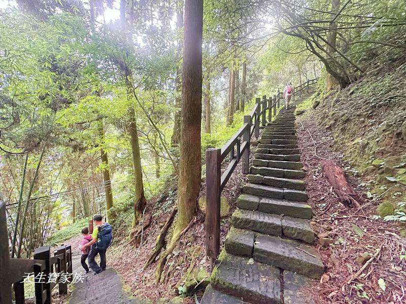 嘉義一日遊、奮起湖、奮起湖一日遊、奮起湖觀景台、奮起湖火車、奮起湖便當、奮起湖一日遊、奮起湖住宿、奮起湖景點