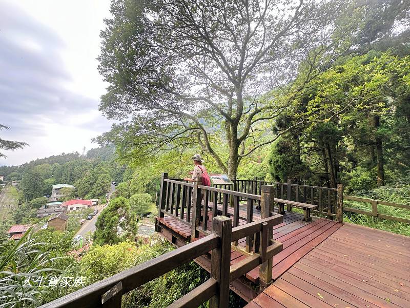 嘉義一日遊、奮起湖、奮起湖一日遊、奮起湖觀景台、奮起湖火車、奮起湖便當、奮起湖一日遊、奮起湖住宿、奮起湖景點