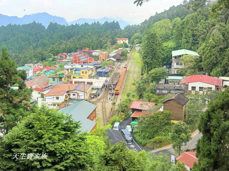 嘉義一日遊、奮起湖、奮起湖一日遊、奮起湖觀景台、奮起湖火車、奮起湖便當、奮起湖一日遊、奮起湖住宿、奮起湖景點