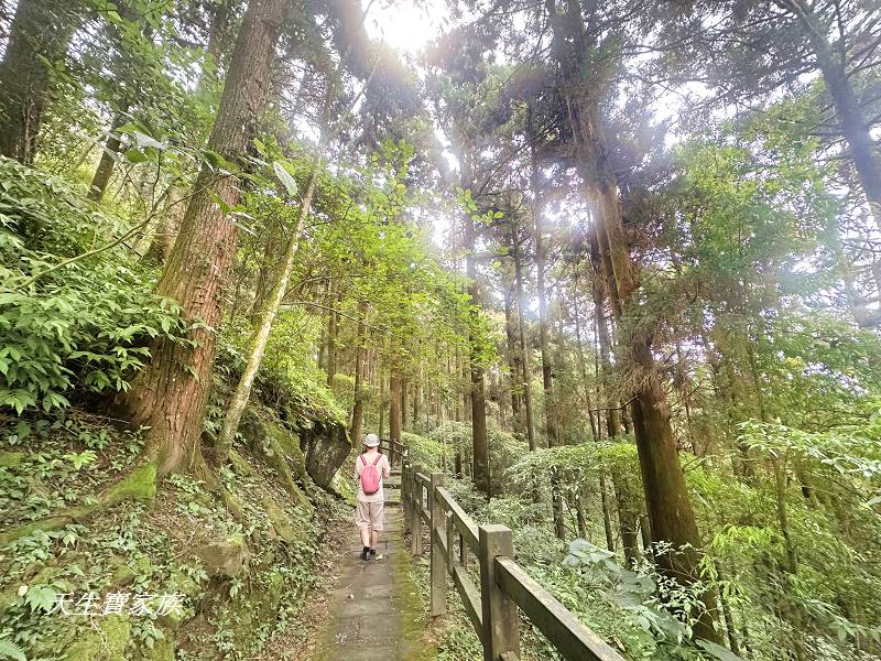 嘉義一日遊、奮起湖、奮起湖一日遊、奮起湖觀景台、奮起湖火車、奮起湖便當、奮起湖一日遊、奮起湖住宿、奮起湖景點