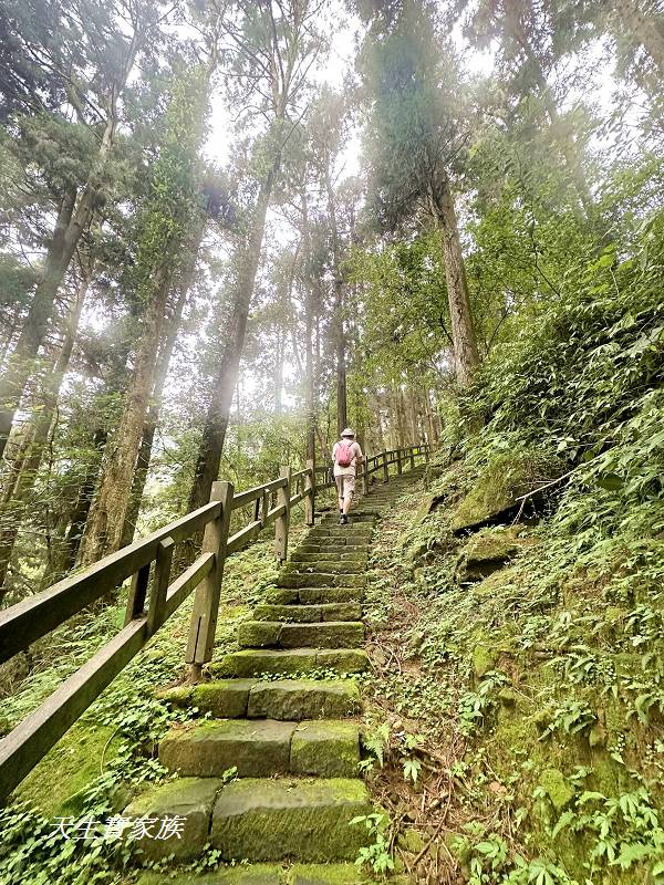 嘉義一日遊、奮起湖、奮起湖一日遊、奮起湖觀景台、奮起湖火車、奮起湖便當、奮起湖一日遊、奮起湖住宿、奮起湖景點