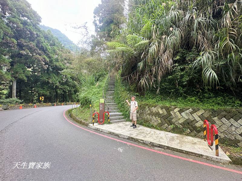 嘉義景點、奮起湖、奮起步道、奮起湖步道、奮起湖神社、奮起湖檜木步道、奮起湖天氣