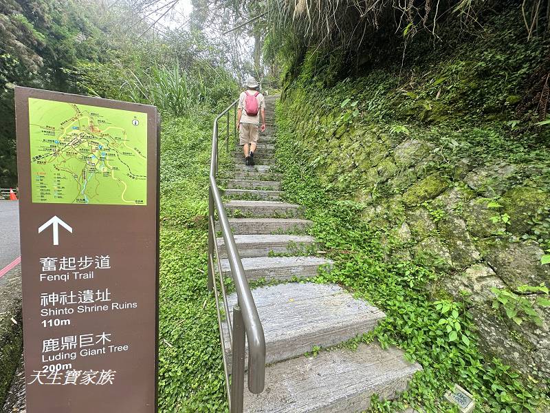 嘉義景點、奮起湖、奮起步道、奮起湖步道、奮起湖神社、奮起湖檜木步道、奮起湖天氣