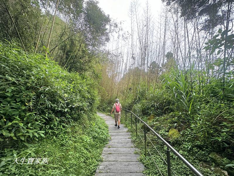 嘉義景點、奮起湖、奮起步道、奮起湖步道、奮起湖神社、奮起湖檜木步道、奮起湖天氣