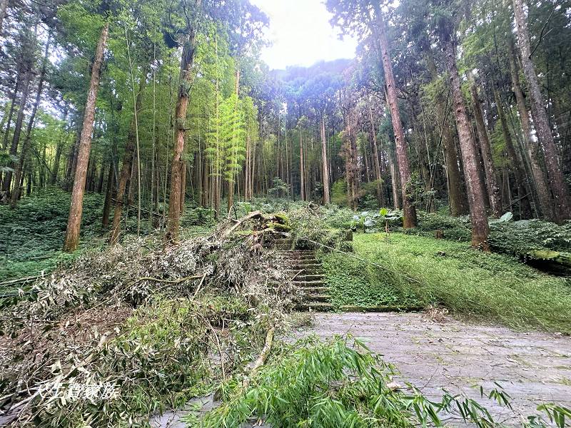 嘉義景點、奮起湖、奮起步道、奮起湖步道、奮起湖神社、奮起湖檜木步道、奮起湖天氣