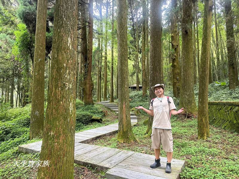 嘉義景點、奮起湖、奮起步道、奮起湖步道、奮起湖神社、奮起湖檜木步道、奮起湖天氣