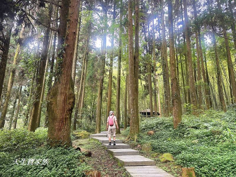 嘉義景點、奮起湖、奮起步道、奮起湖步道、奮起湖神社、奮起湖檜木步道、奮起湖天氣