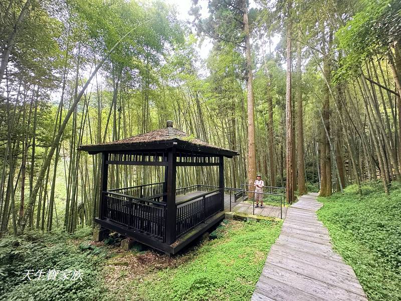 嘉義景點、奮起湖、奮起步道、奮起湖步道、奮起湖神社、奮起湖檜木步道、奮起湖天氣