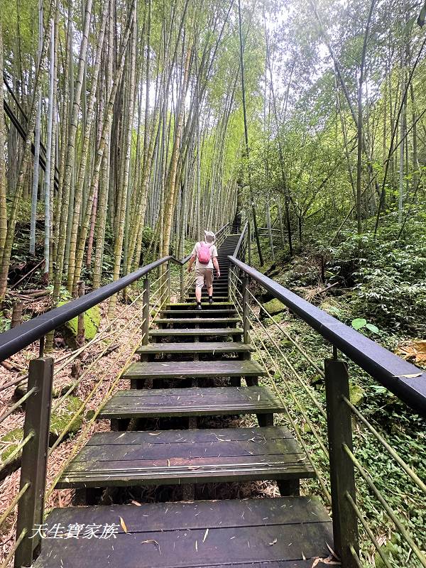 嘉義景點、奮起湖、奮起步道、奮起湖步道、奮起湖神社、奮起湖檜木步道、奮起湖天氣