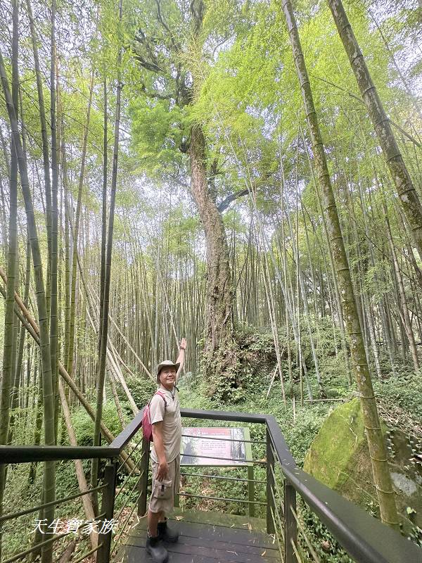 嘉義景點、奮起湖、奮起步道、奮起湖步道、奮起湖神社、奮起湖檜木步道、奮起湖天氣