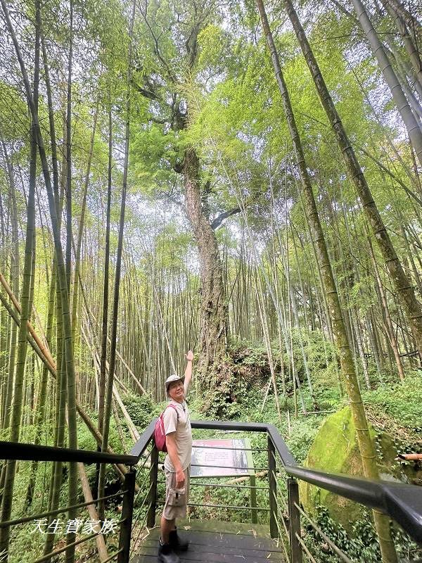 嘉義景點、奮起湖、奮起步道、奮起湖步道、奮起湖神社、奮起湖檜木步道、奮起湖天氣