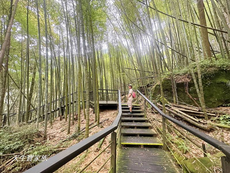 嘉義景點、奮起湖、奮起步道、奮起湖步道、奮起湖神社、奮起湖檜木步道、奮起湖天氣