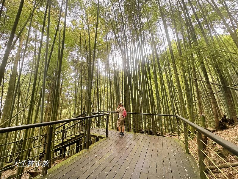 嘉義景點、奮起湖、奮起步道、奮起湖步道、奮起湖神社、奮起湖檜木步道、奮起湖天氣