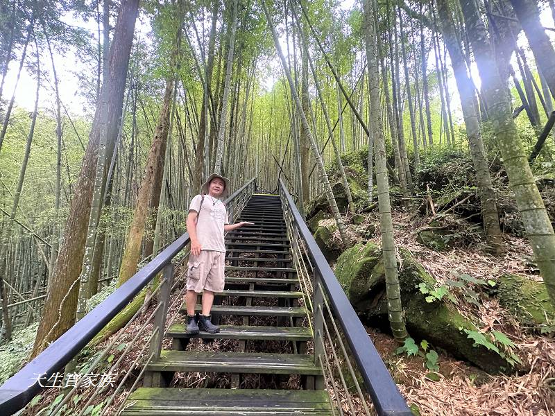 嘉義景點、奮起湖、奮起步道、奮起湖步道、奮起湖神社、奮起湖檜木步道、奮起湖天氣