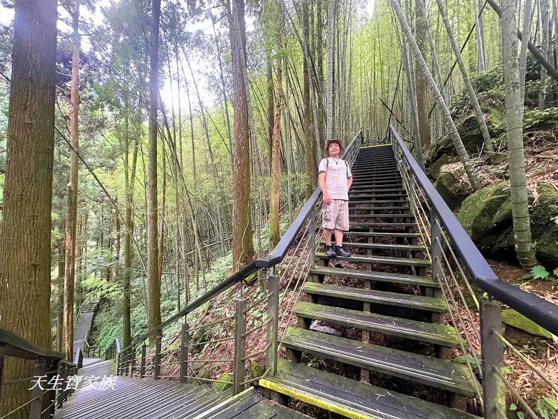 嘉義景點、奮起湖、奮起步道、奮起湖步道、奮起湖神社、奮起湖檜木步道、奮起湖天氣