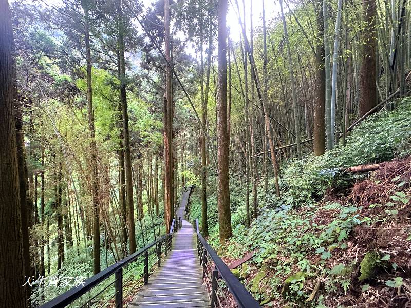 嘉義景點、奮起湖、奮起步道、奮起湖步道、奮起湖神社、奮起湖檜木步道、奮起湖天氣