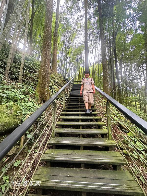 嘉義景點、奮起湖、奮起步道、奮起湖步道、奮起湖神社、奮起湖檜木步道、奮起湖天氣