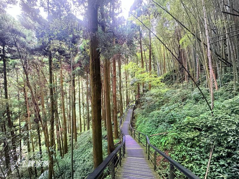 嘉義景點、奮起湖、奮起步道、奮起湖步道、奮起湖神社、奮起湖檜木步道、奮起湖天氣