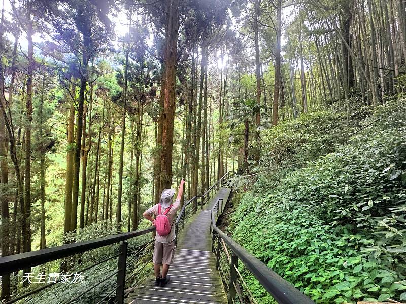 嘉義景點、奮起湖、奮起步道、奮起湖步道、奮起湖神社、奮起湖檜木步道、奮起湖天氣