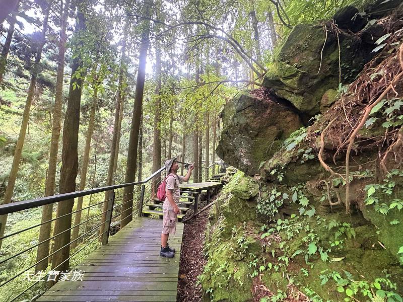 嘉義景點、奮起湖、奮起步道、奮起湖步道、奮起湖神社、奮起湖檜木步道、奮起湖天氣