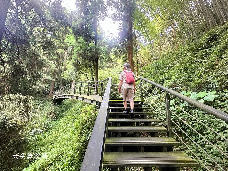 嘉義景點、奮起湖、奮起步道、奮起湖步道、奮起湖神社、奮起湖檜木步道、奮起湖天氣