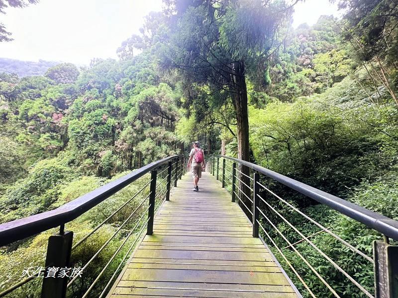 嘉義景點、奮起湖、奮起步道、奮起湖步道、奮起湖神社、奮起湖檜木步道、奮起湖天氣