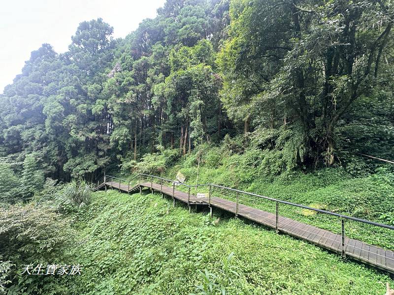 嘉義景點、奮起湖、奮起步道、奮起湖步道、奮起湖神社、奮起湖檜木步道、奮起湖天氣