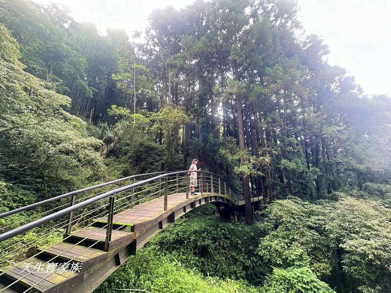 嘉義景點、奮起湖、奮起步道、奮起湖步道、奮起湖神社、奮起湖檜木步道、奮起湖天氣