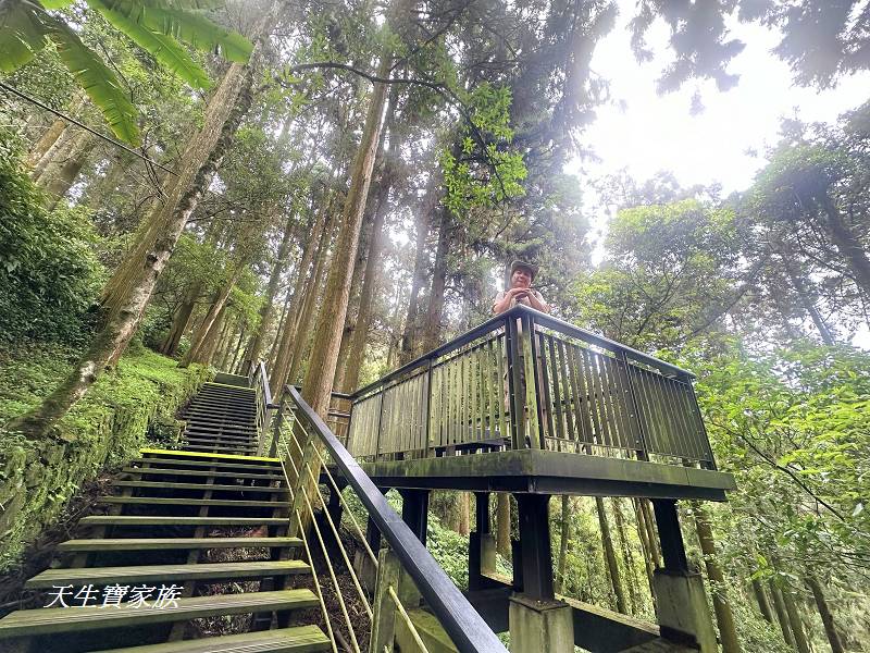 嘉義景點、奮起湖、奮起步道、奮起湖步道、奮起湖神社、奮起湖檜木步道、奮起湖天氣