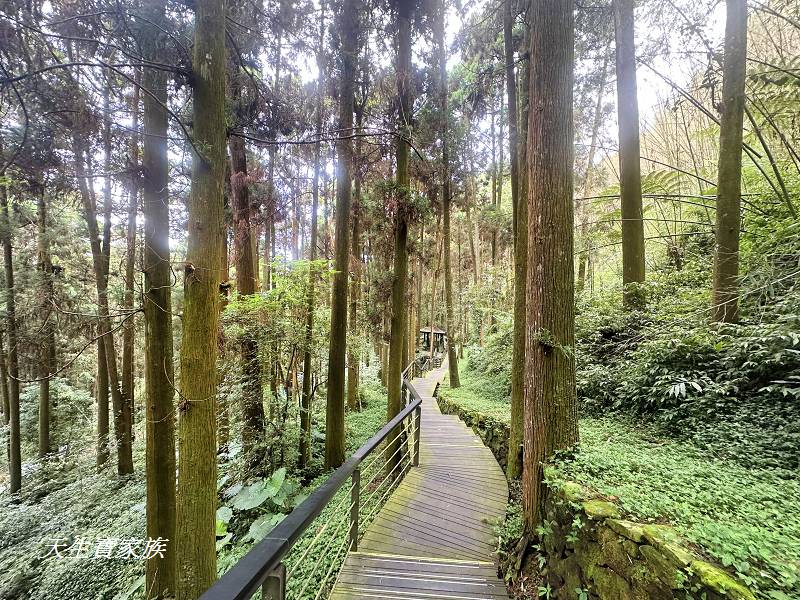 嘉義景點、奮起湖、奮起步道、奮起湖步道、奮起湖神社、奮起湖檜木步道、奮起湖天氣